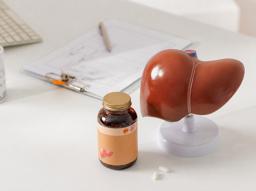 실리마린, 현탁액이 흡수에 유리할까? 비알콜성지방간과 실리마린 효능 총정리 썸네일