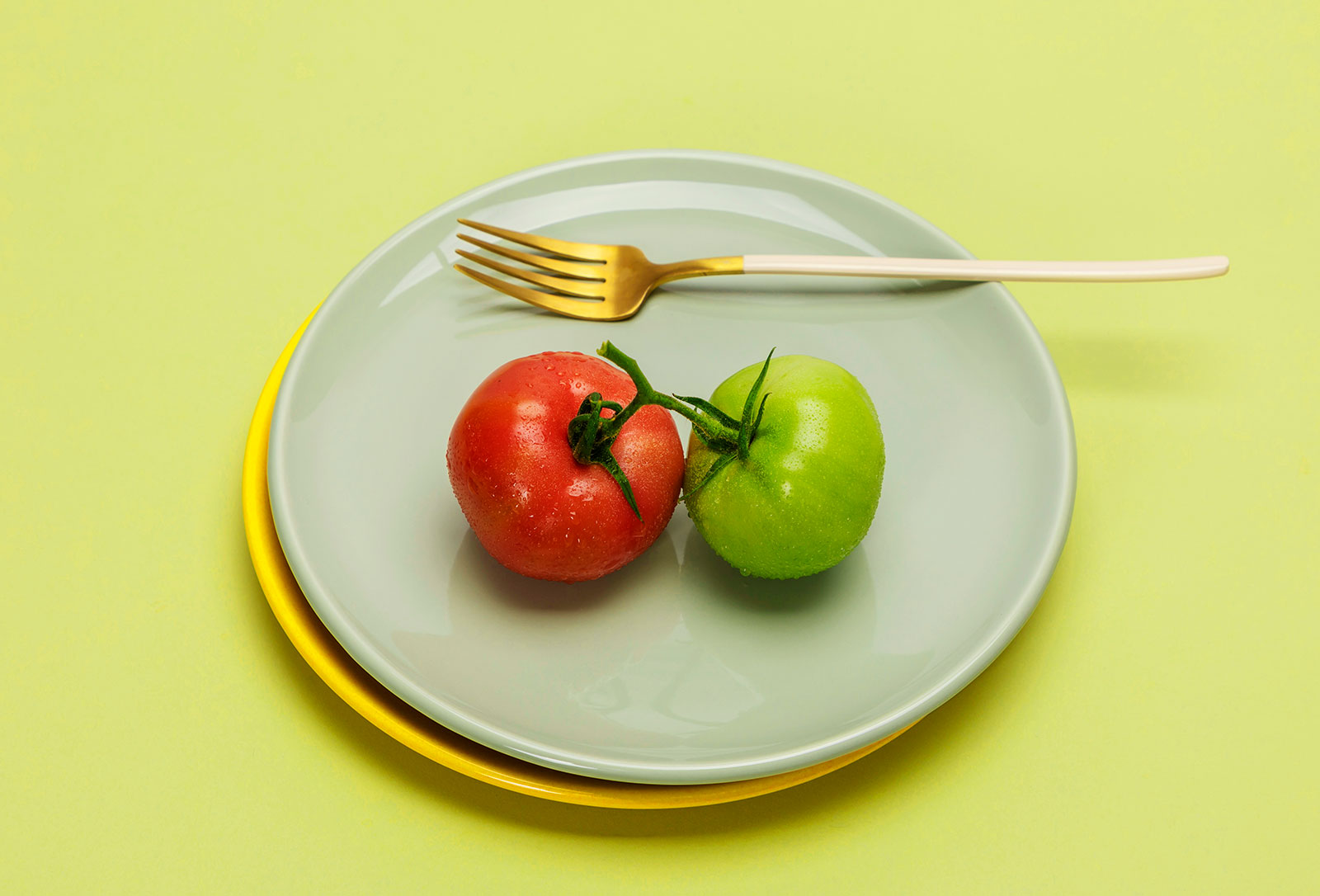 人が従うことができる特定の食事療法はありますか?