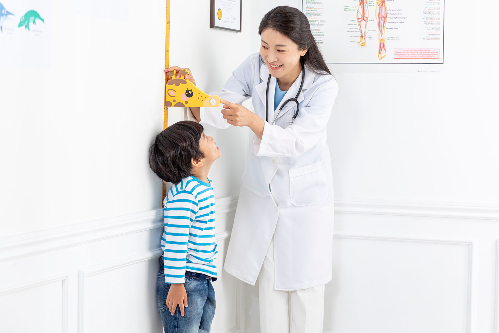 それは何ですか？