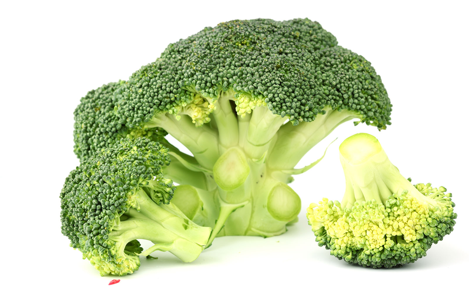 免疫力を高める効果